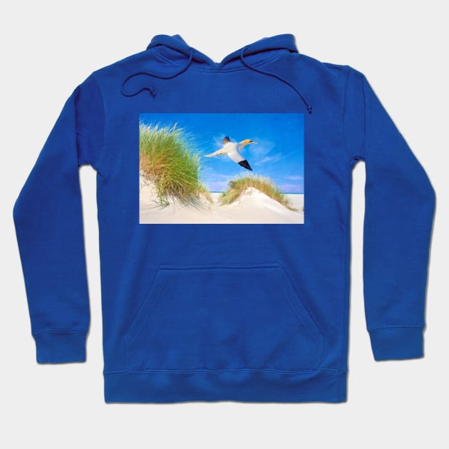 Northen Gannet Bird at the Beach Hoodie by lauradyoung